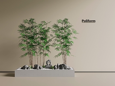 植物组合 现代景观花池 竹子 翠竹