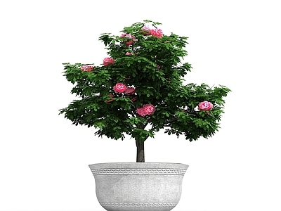 现代佛龛 石雕花盆