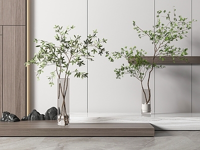 现代佛龛 水生植物