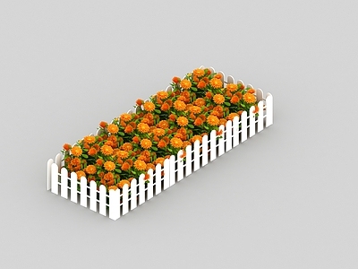 水生植物 菊花 栅栏 篱笆