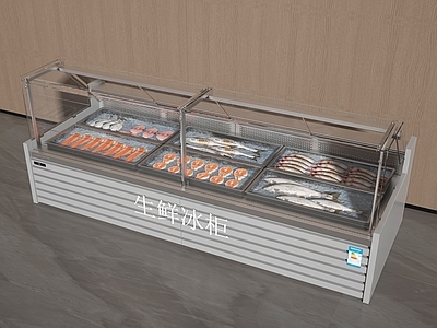 冰箱 冰柜 生鲜柜 海鲜柜 肉制品 保鲜柜