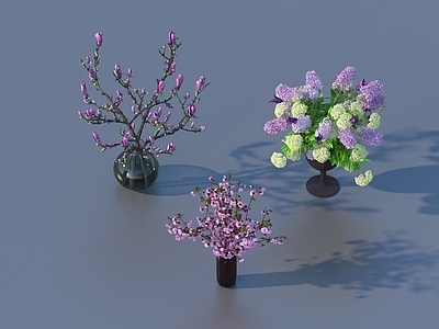 现代花钵 花卉 花艺摆件
