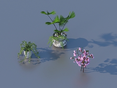 现代花钵 花卉 花艺摆件