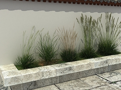 现代佛龛 草本植物