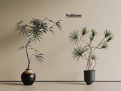 盆栽 中古风绿植盆栽 盆景 树