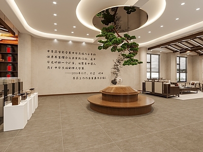 现代药店 中式陈皮店 展厅 中药 茶叶 展台