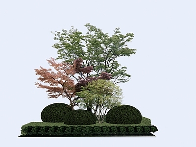 乔木 绿化组团 入户门绿化 植物组团 景观树