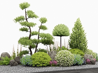 植物组合 灌木 花草 花境 花坛 植物堆