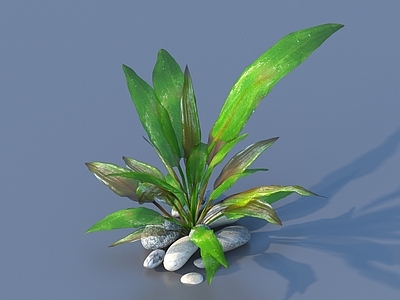 现代石头 石头 水草 鹅卵