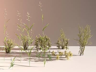 植物堆 l