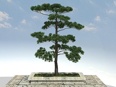 现代办公桌 黑松