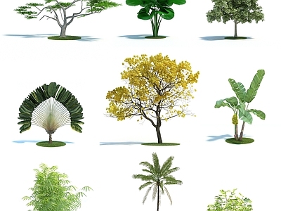 办公桌 现代园林植物树