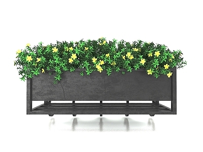 现代佛龛 植物