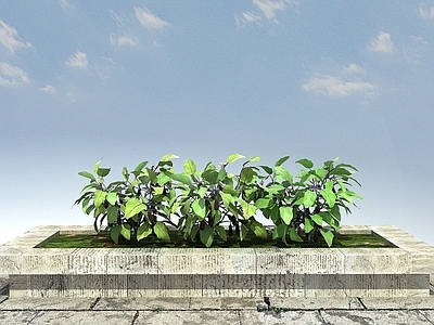 现代办公桌 茄子