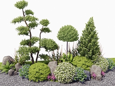 灌木 灌木球 花池 花坛 花草组合 植物组合