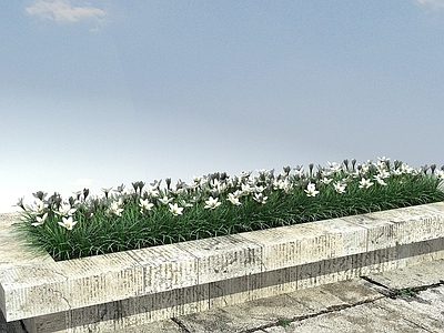 现代办公桌 葱兰
