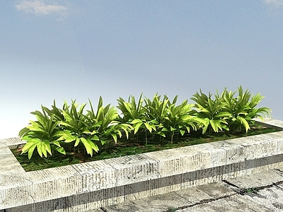 现代办公桌 花叶良姜