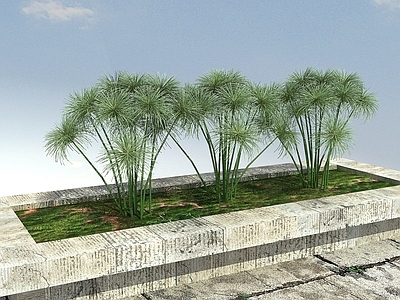 现代办公桌 纸莎草