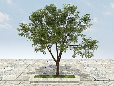 现代办公桌 大树开花植物