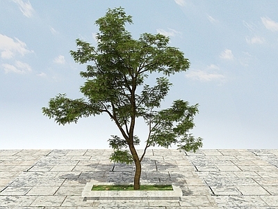 现代办公桌 大树开花植物