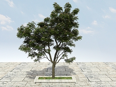 现代办公桌 大树开花植物