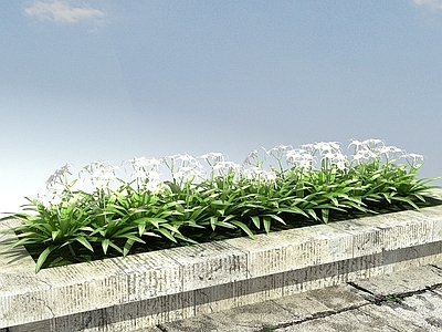 现代办公桌 蜘蛛兰