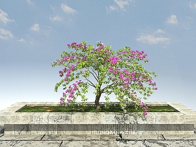 现代办公桌 叶子花丛