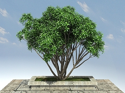 现代办公桌 桂花小
