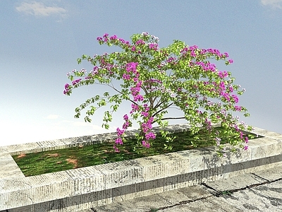 现代办公桌 叶子花丛景观植物