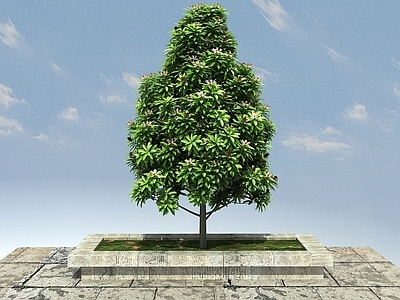 现代办公桌 红花木莲景观植物