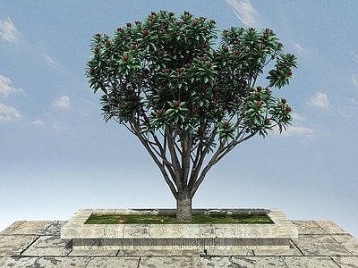 现代办公桌 杨梅景观植物