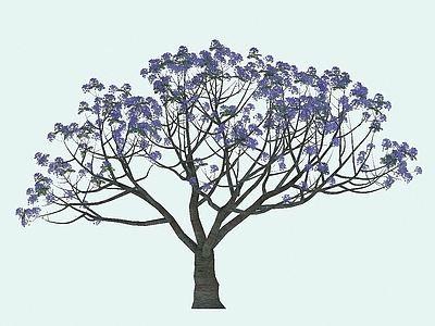 现代办公桌 蓝花楹景观植物