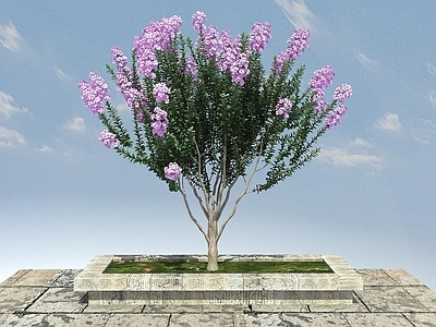 现代办公桌 紫薇景观植物