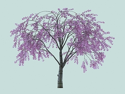 现代办公桌 樱花景观植物