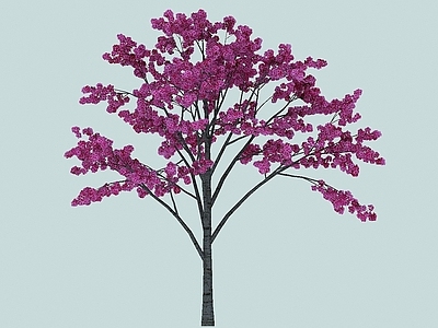 现代办公桌 樱花景观植物