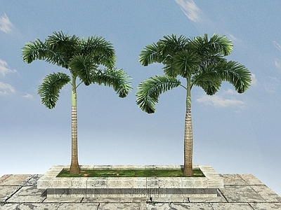 现代办公桌 狐尾椰景观植物