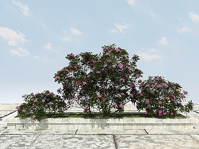 现代办公桌 杜鹃花景观植物