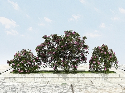 现代办公桌 杜鹃花景观植物