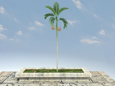 现代办公桌 景观植物