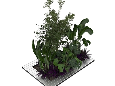 现代佛龛 现代绿植盆栽