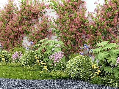 藤蔓 花墙藤蔓 花境 花草 灌木 植物组合
