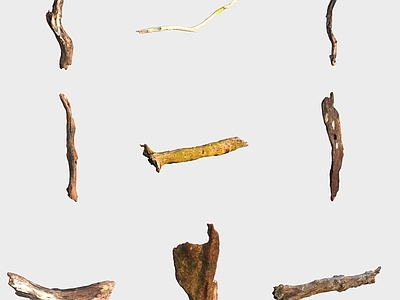 现代木头木板 树干树枝树桩枯木
