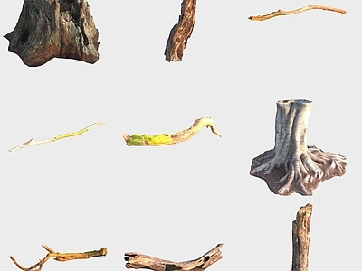 现代木头木板 树干树枝树桩枯木