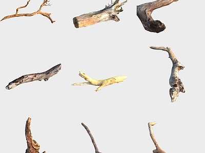 现代木头木板 树干树枝树桩枯木