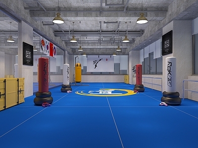 现代健身房 跆拳道室