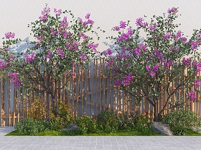 水生植物 现代紫薇树 海棠树 景观树