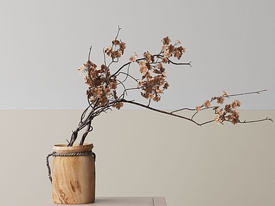 盆栽 现代盆栽