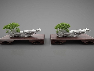 现代盆栽