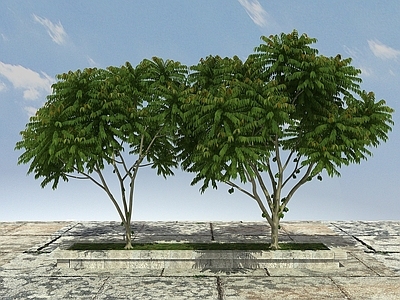 现代办公桌 有层次植物