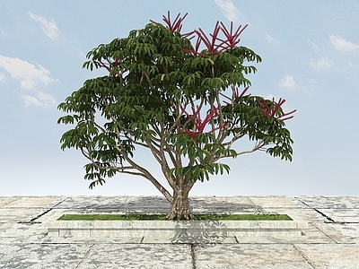 现代办公桌 有形开花景观植物